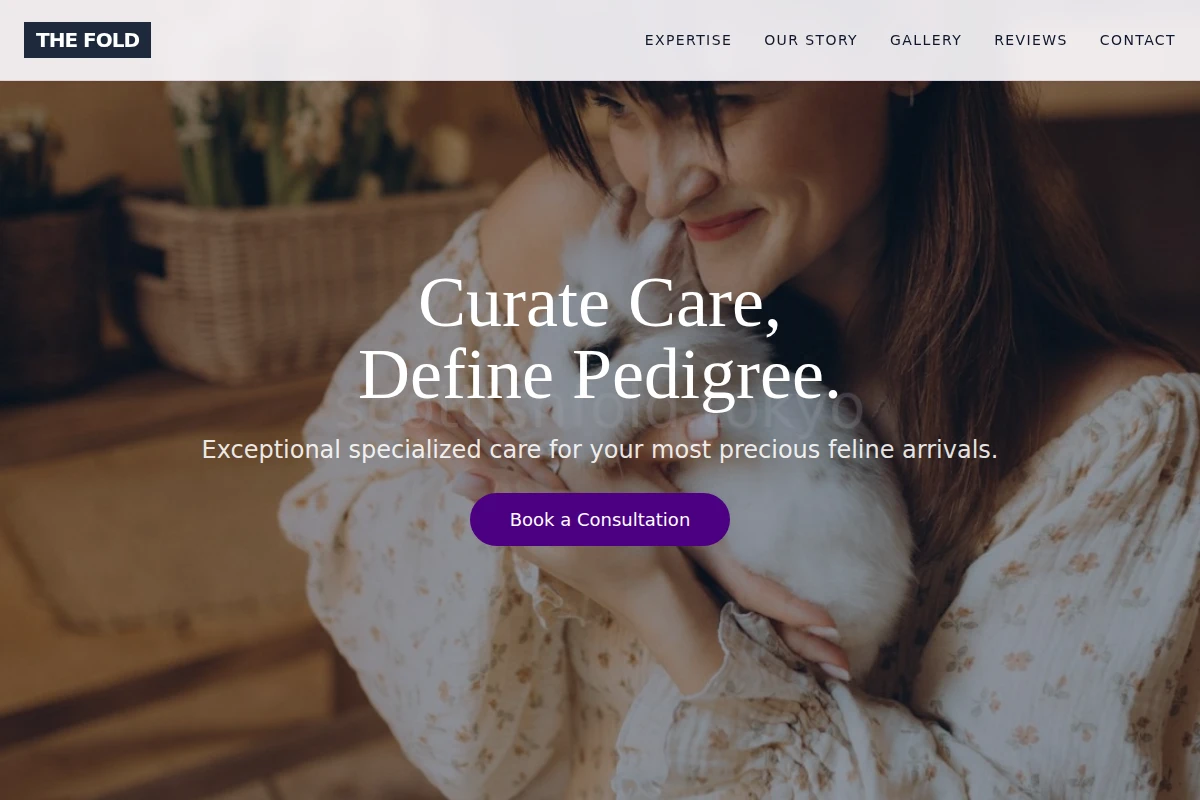 Kitten Animal Care