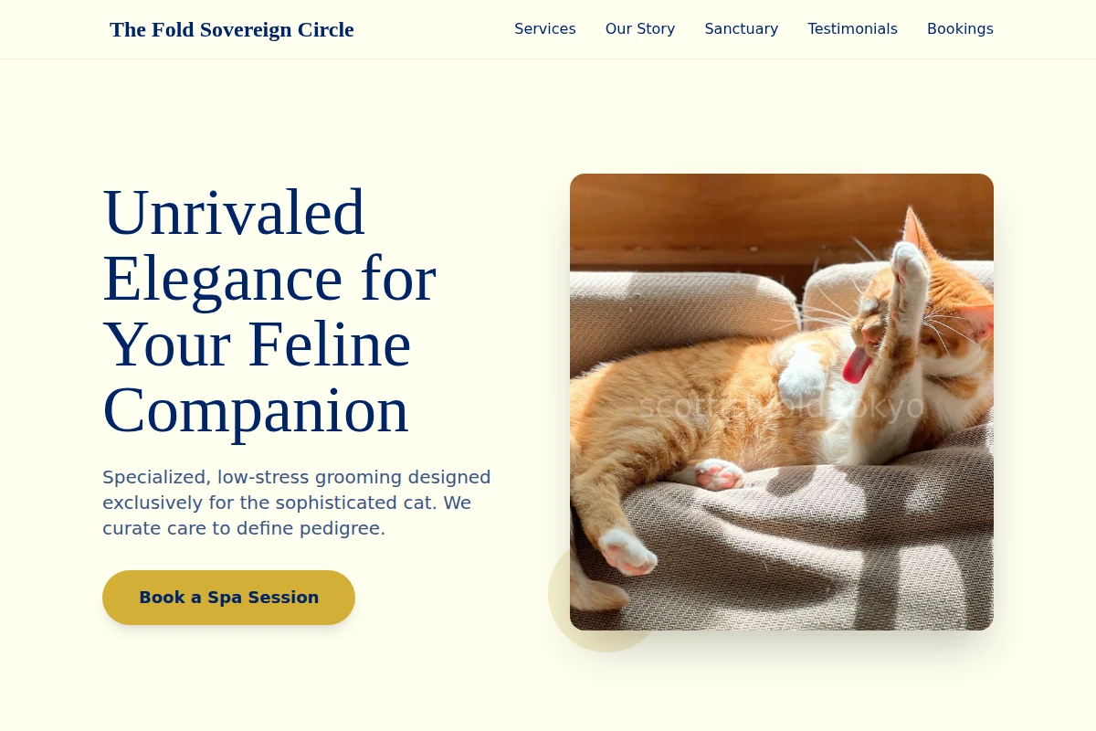 Feline Pet Grooming