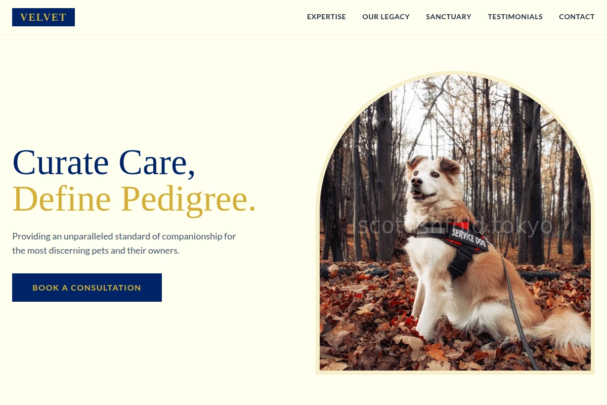Velvet Pet Services
