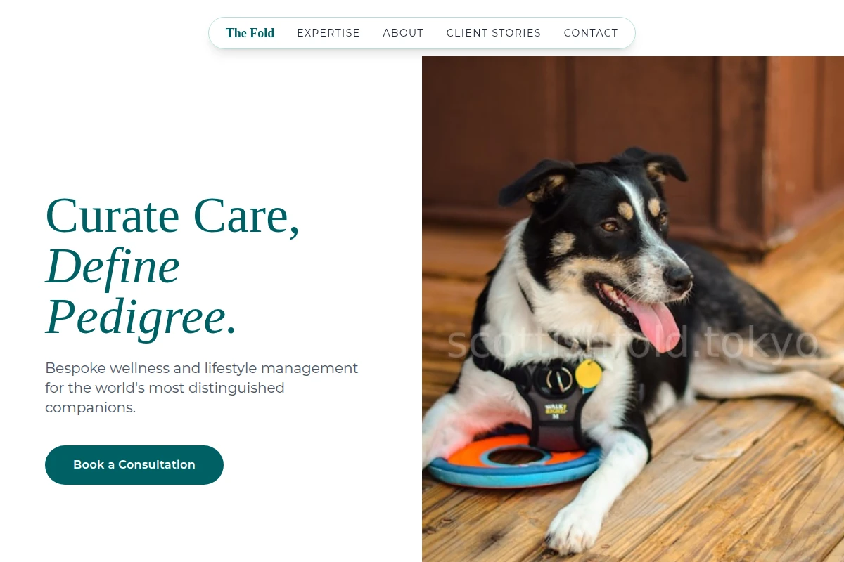 Fold Pet Services